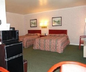 Alpha Inn & Suites San Francisco - Rooms feature fridges & microwaves