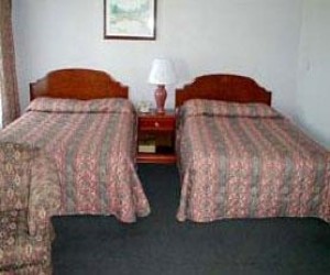 Alpha Inn & Suites features family rooms