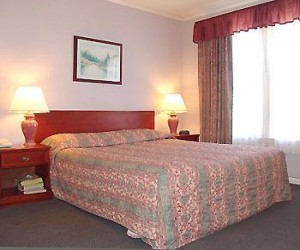 King Bedroom at Alpha Inn & Suites