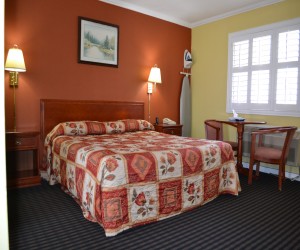 Alpha Inn & Suites San Francisco - King Standard Bedroom