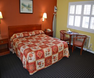 Alpha Inn & Suites San Francisco - King Standard Bedroom at Alpha Inn & Suites