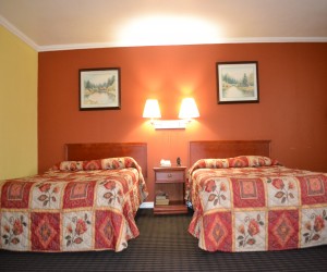 2 Queen Bedroom - Alpha Inn