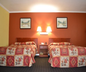 Alpha Inn & Suites San Francisco - Perfect room for families visiting San Francisco