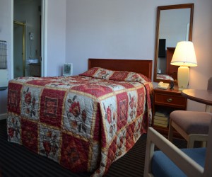 Alpha Inn & Suites San Francisco - Queen Standard Bedroom - Alpha Inn & Suites