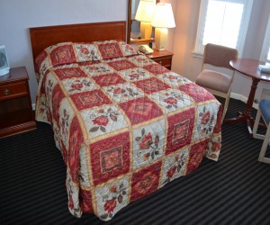 Queen Standard Bedroom - Alpha Inn